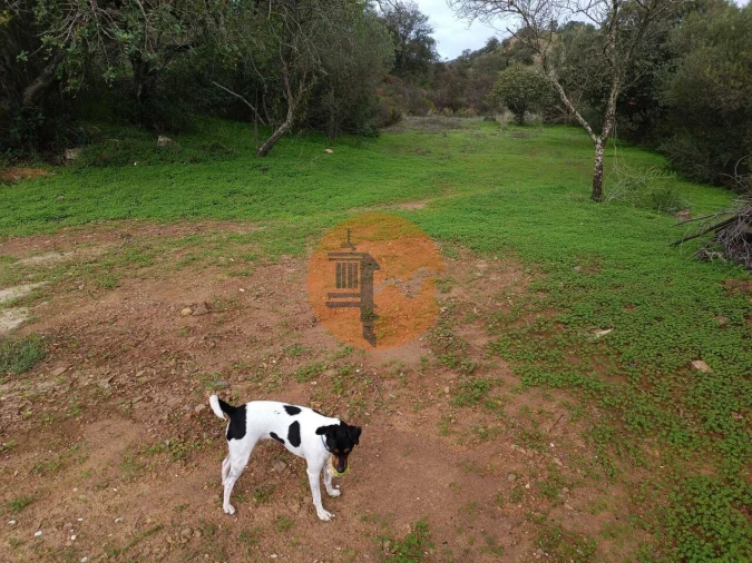 Terreno para Venda em Castro Marim Foto 63