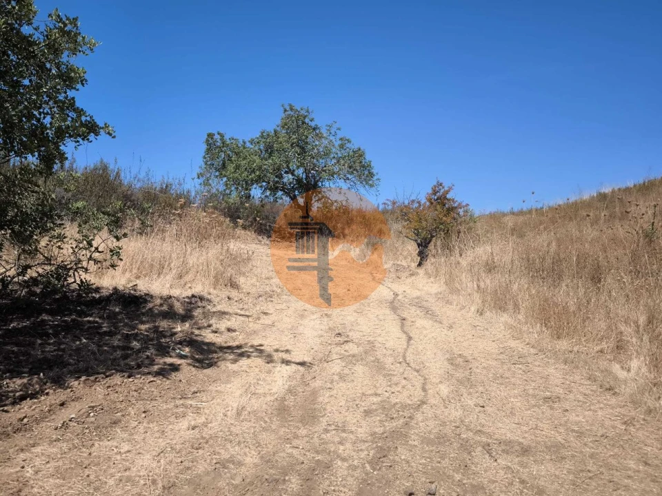 Terreno para Venda em Castro Marim Foto 23