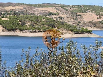 Terreno para Venda em Castro Marim