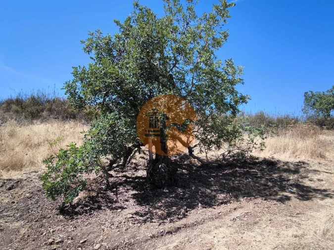 Terreno para Venda em Castro Marim Foto 28