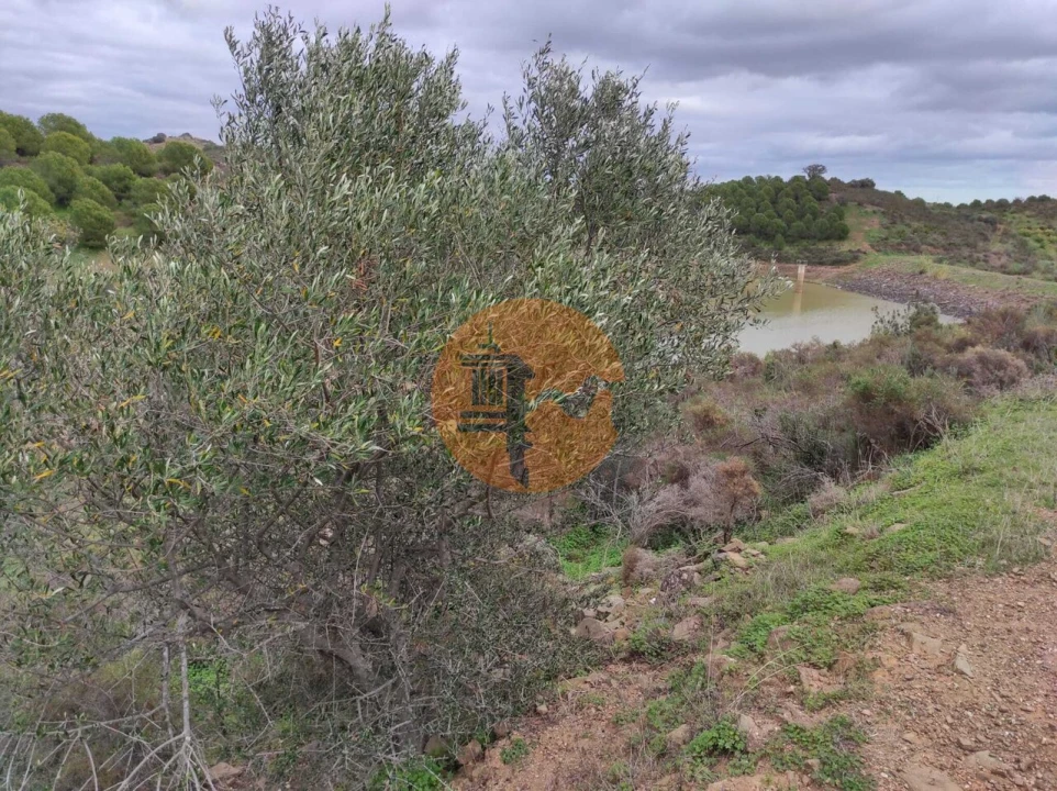 Terreno para Venda em Castro Marim Foto 13