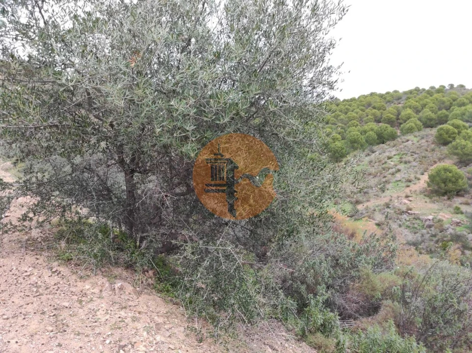 Terreno para Venda em Castro Marim Foto 29