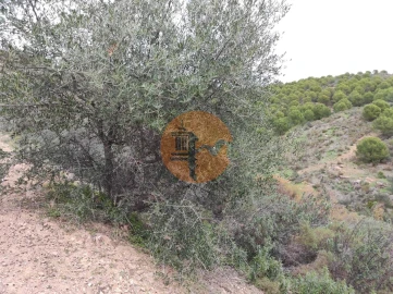Terreno para Venda em Castro Marim