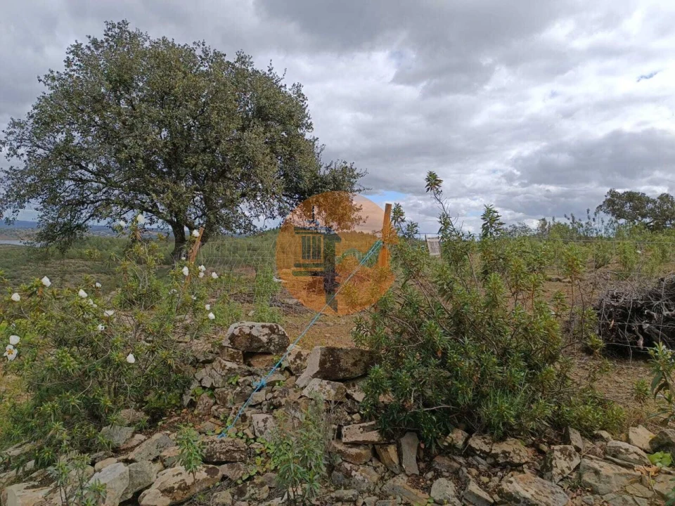 Terreno para Venda em Odeleite Foto 3