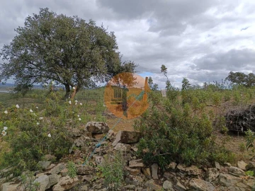 Terreno para Venda em Odeleite