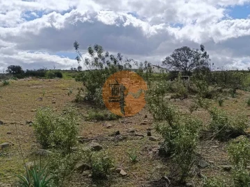 Terreno para Venda em Odeleite