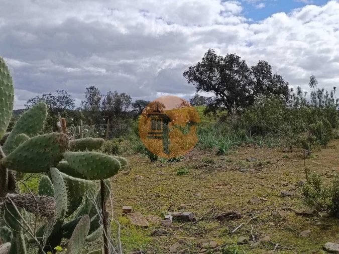 Terreno para Venda em Odeleite Foto 9