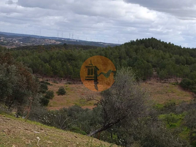 Terreno para Venda em Odeleite Foto 23