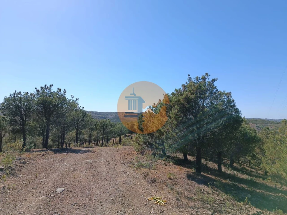 Terreno para Venda em Azinhal Foto 1