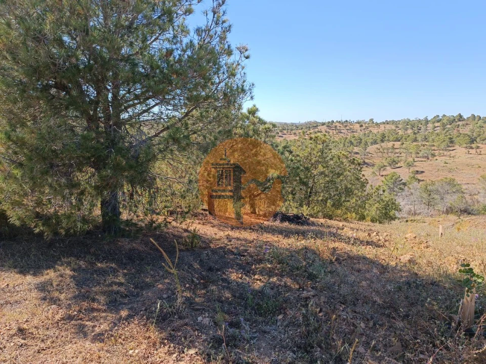 Terreno para Venda em Azinhal Foto 11