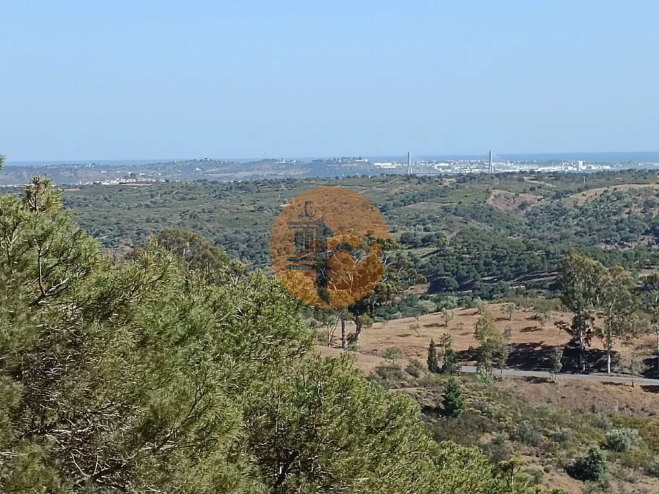 Terreno para Venda em Azinhal Foto 16