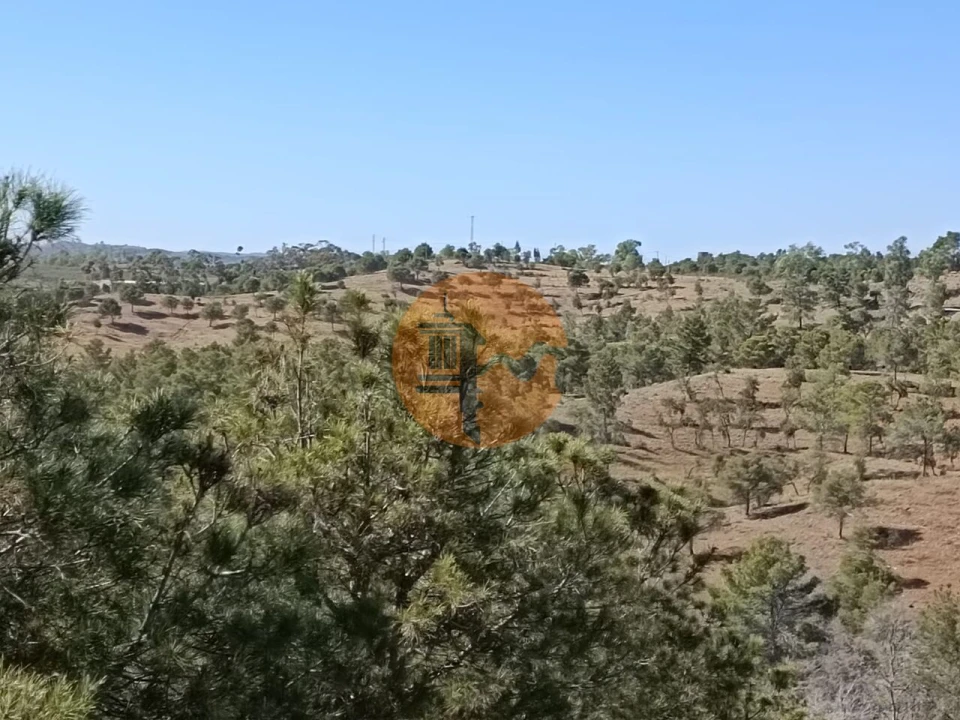 Terreno para Venda em Azinhal Foto 24