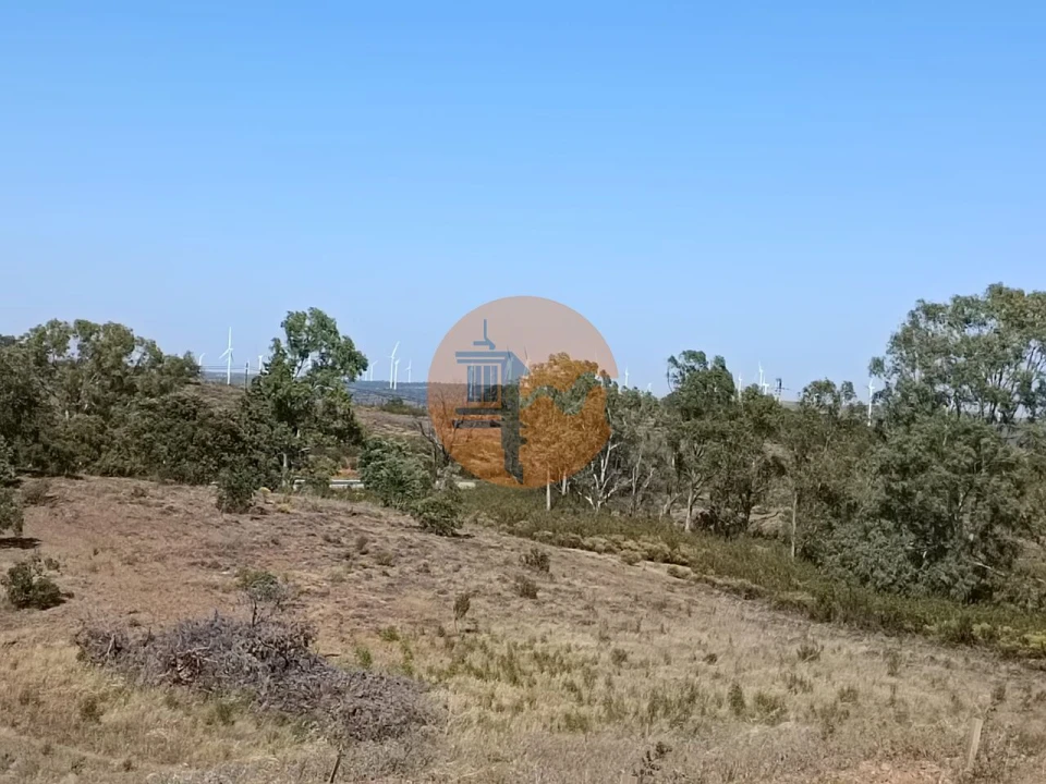 Terreno para Venda em Azinhal Foto 25