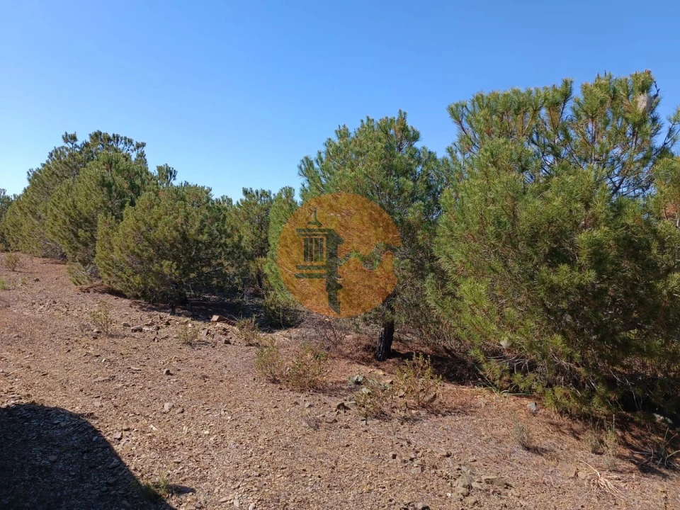Terreno para Venda em Azinhal Foto 26
