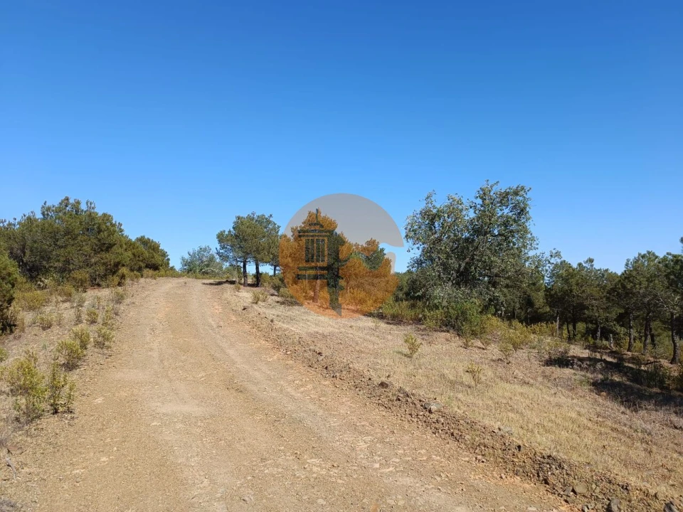Terreno para Venda em Azinhal Foto 33