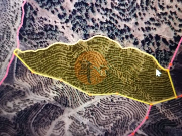 Terreno para Venda em Azinhal