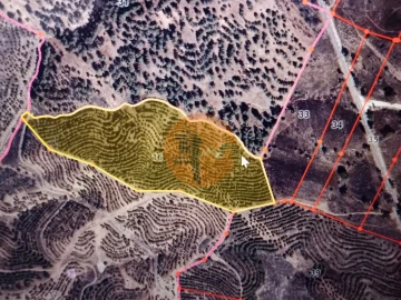 Terreno para Venda em Azinhal