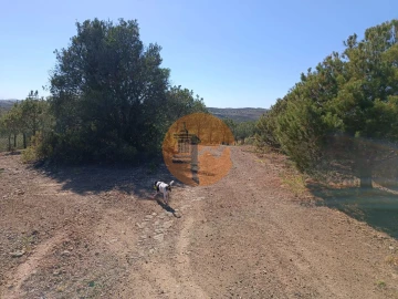 Terreno para Venda em Azinhal