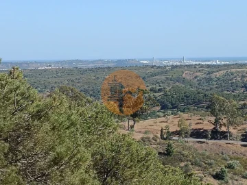 Terreno para Venda em Azinhal