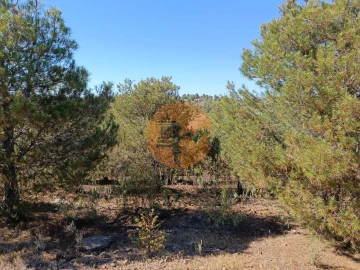 Terreno para Venda em Azinhal