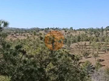 Terreno para Venda em Azinhal