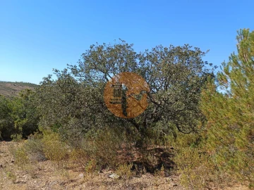 Terreno para Venda em Azinhal