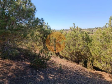 Terreno para Venda em Azinhal