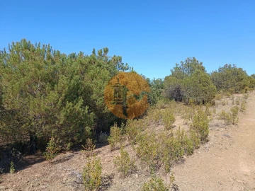Terreno para Venda em Azinhal