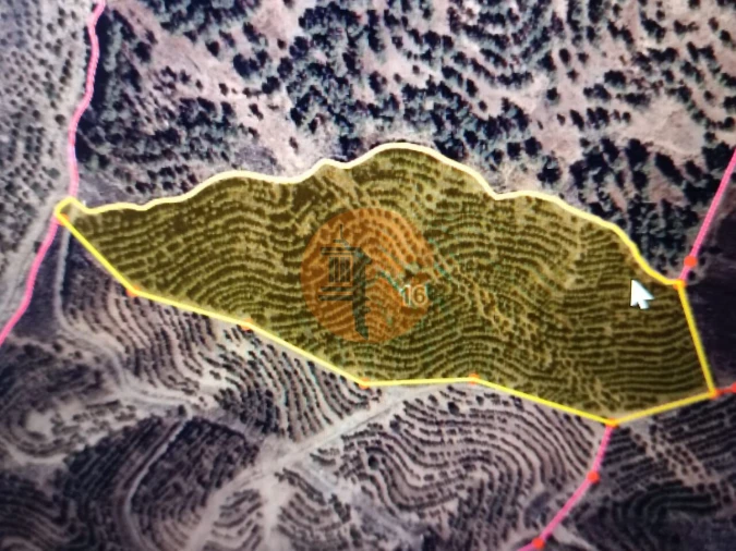 Terreno para Venda em Azinhal Foto 6