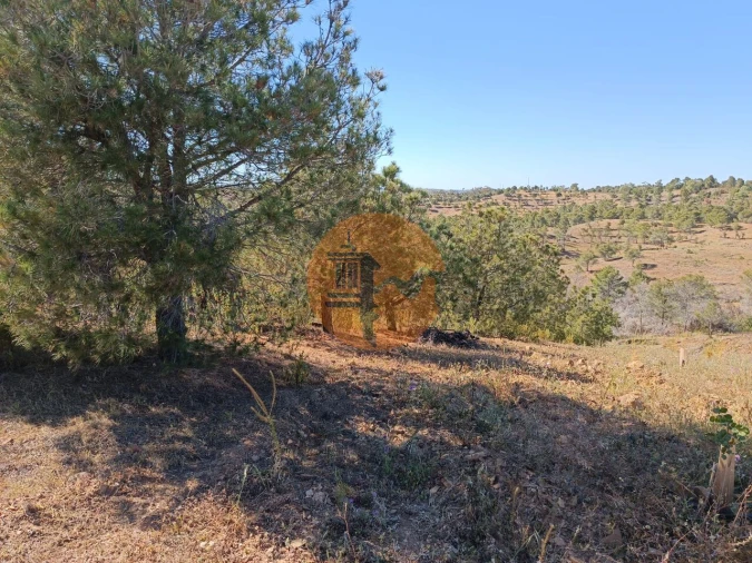Terreno para Venda em Azinhal Foto 11