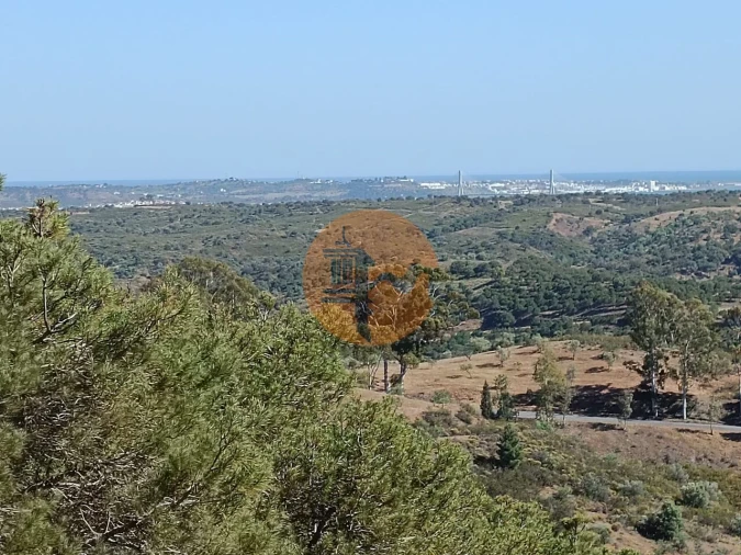 Terreno para Venda em Azinhal Foto 16