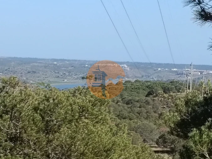 Terreno para Venda em Azinhal Foto 21