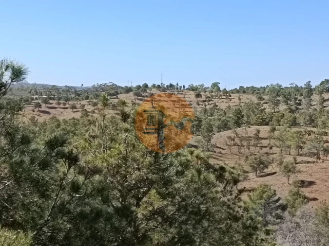 Terreno para Venda em Azinhal Foto 24