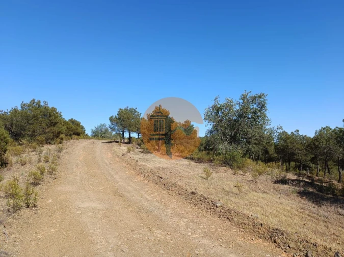 Terreno para Venda em Azinhal Foto 33