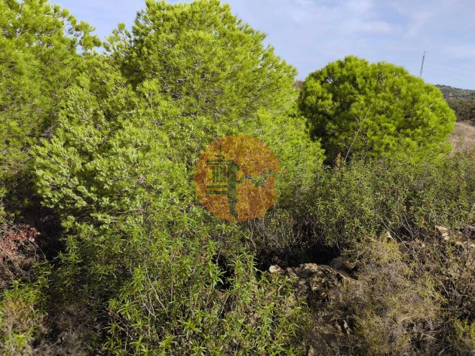 Terreno para Venda em Castro Marim Foto 3