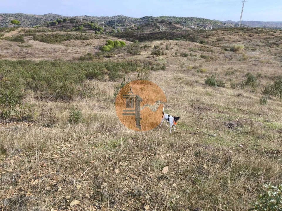 Terreno para Venda em Castro Marim Foto 10