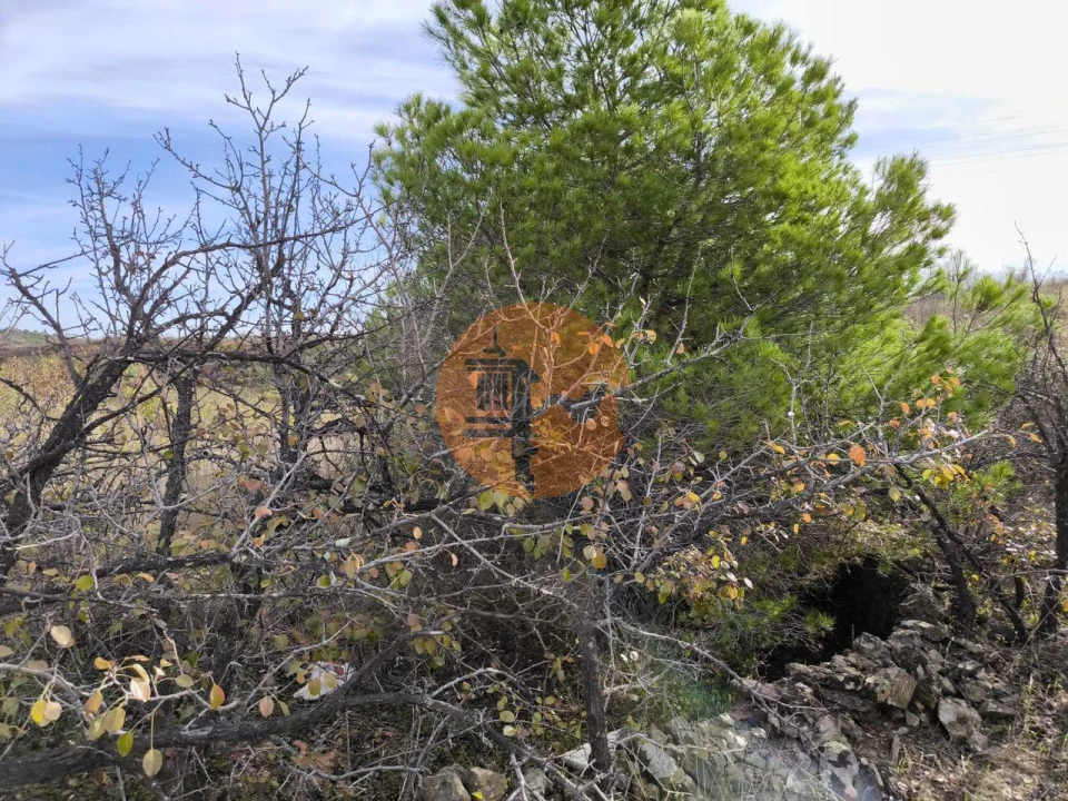 Terreno para Venda em Castro Marim Foto 15