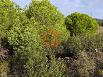 Terreno para Venda em Castro Marim