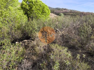 Terreno para Venda em Castro Marim