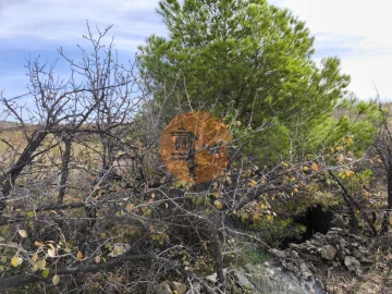 Terreno para Venda em Castro Marim