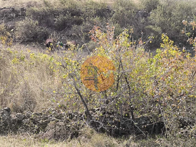 Terreno para Venda em Castro Marim Foto 19