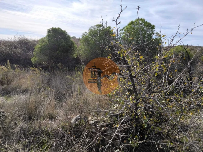Terreno para Venda em Castro Marim Foto 24