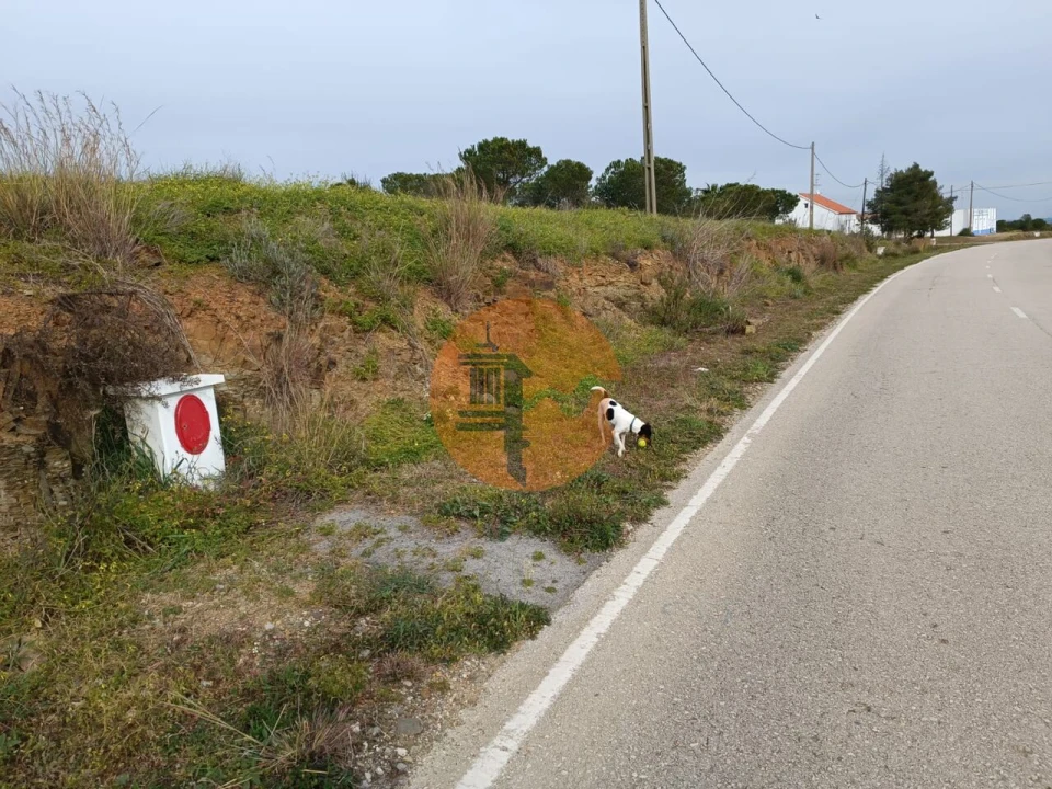 Terreno para Venda em Azinhal Foto 3