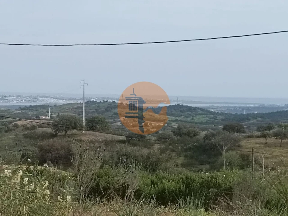 Terreno para Venda em Azinhal Foto 4