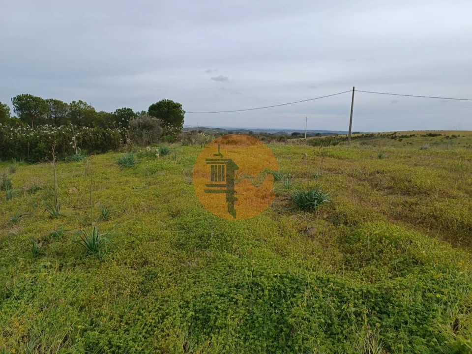 Terreno para Venda em Azinhal Foto 11
