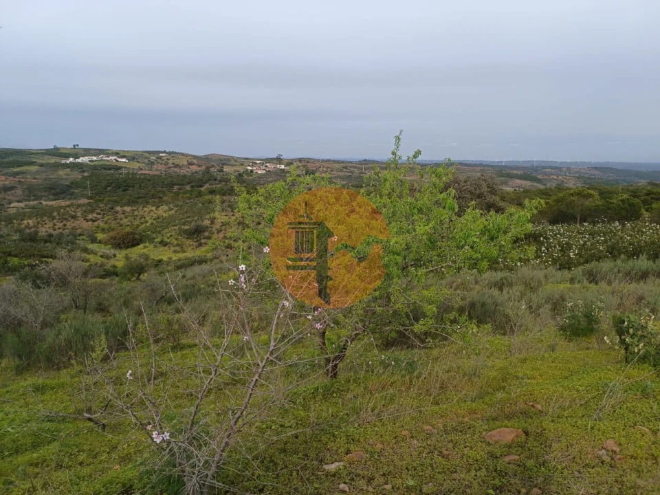 Terreno para Venda em Azinhal Foto 19