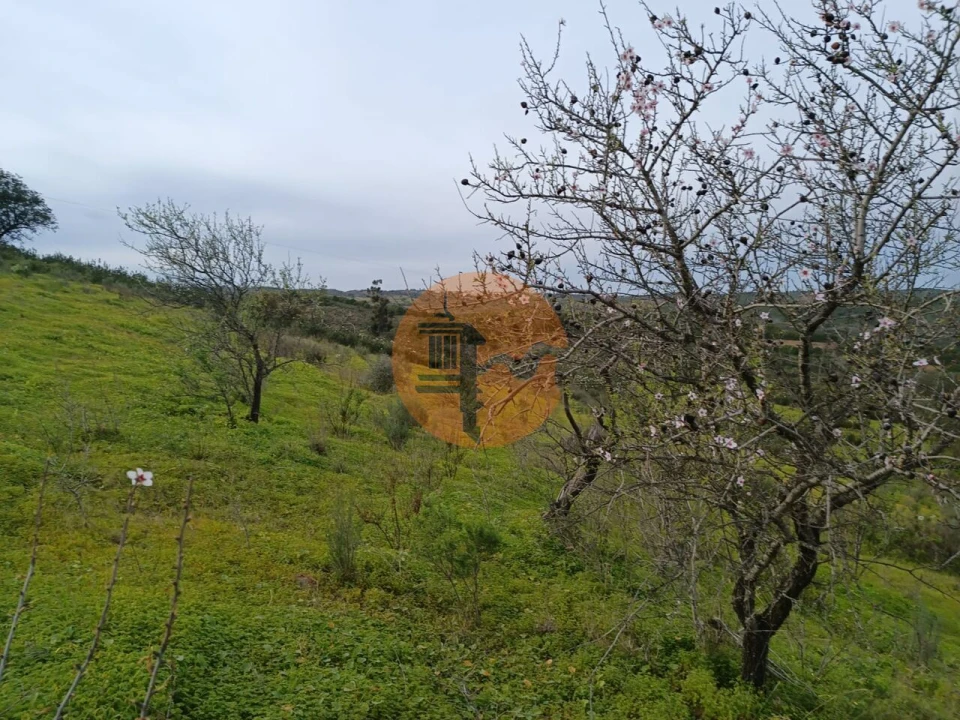 Terreno para Venda em Azinhal Foto 20