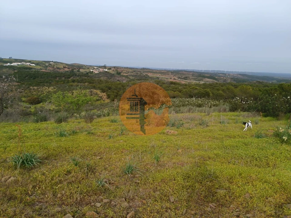 Terreno para Venda em Azinhal Foto 15