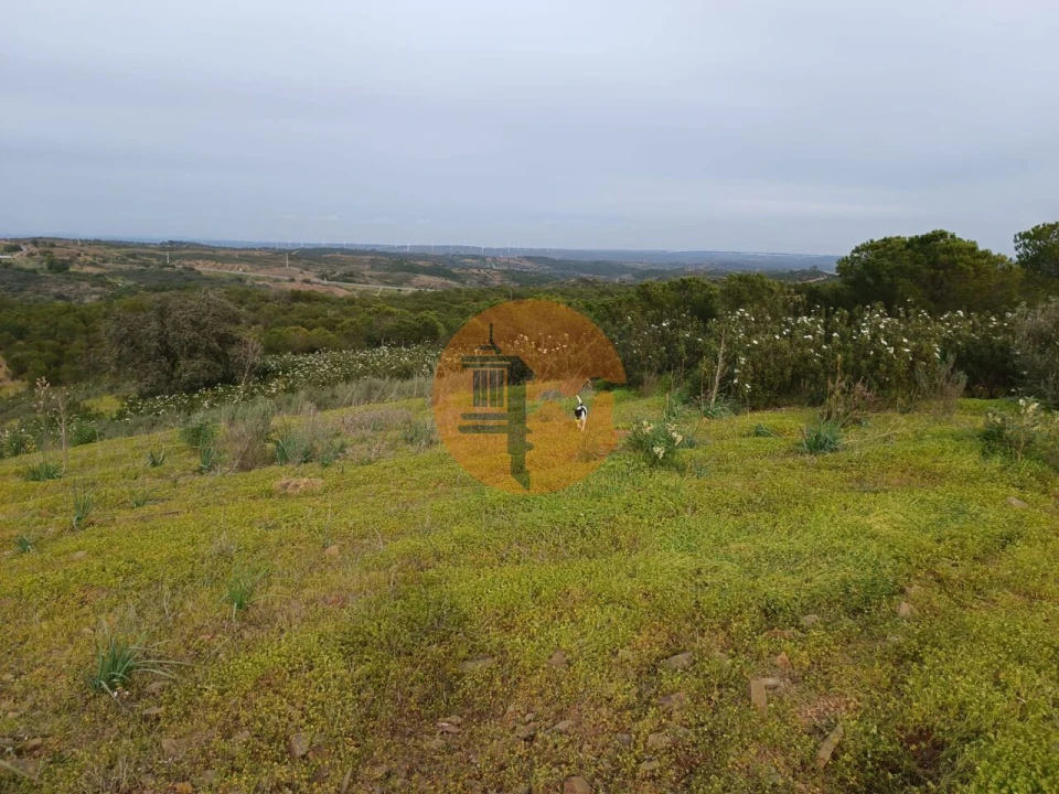 Terreno para Venda em Azinhal Foto 32