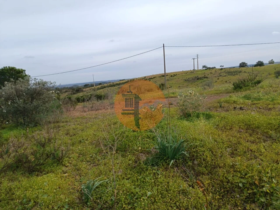 Terreno para Venda em Azinhal Foto 34